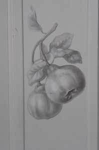 nature morte avec poires                          