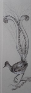 "oiseau lire" peint en grisaille                                        
